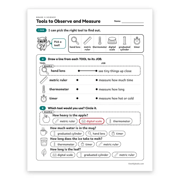 Tools to Observe and Measure worksheet for grade 3
