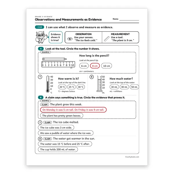 Observations and Measurements as Evidence worksheet for grade 3