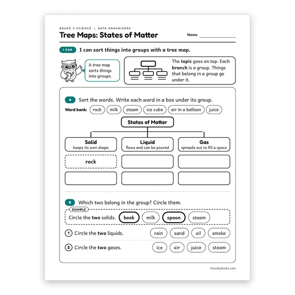3rd Grade Tree Maps: States of Matter worksheet for grade 3
