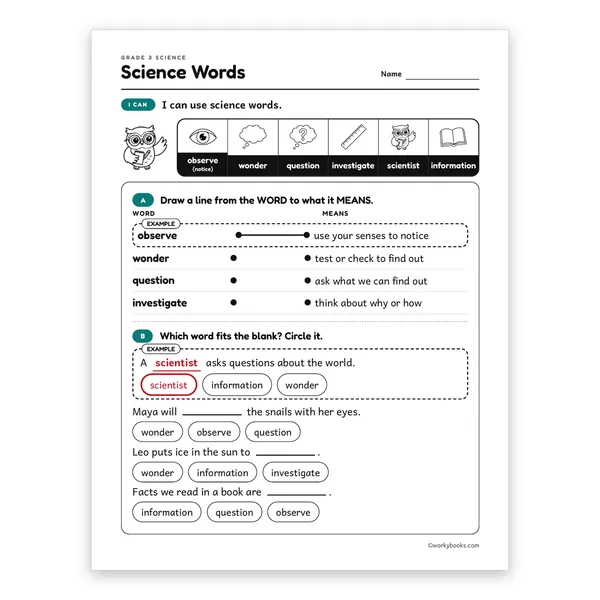 Science Words worksheet