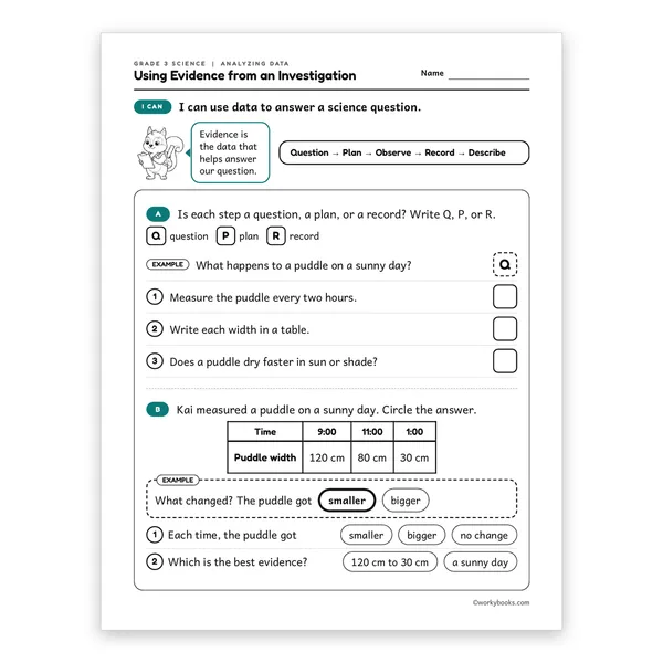 3rd Grade Using Evidence from an Investigation worksheet for grade 3