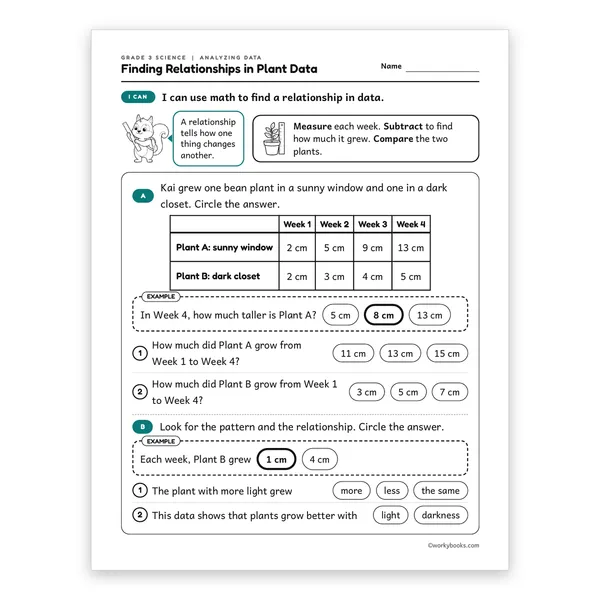 3rd Grade Finding Relationships in Plant Data worksheet for grade 3