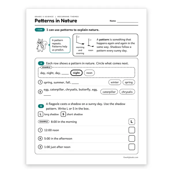 3rd Grade Patterns in Nature worksheet for grade 3