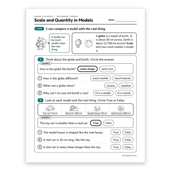3rd Grade Scale and Quantity in Models worksheet for grade 3