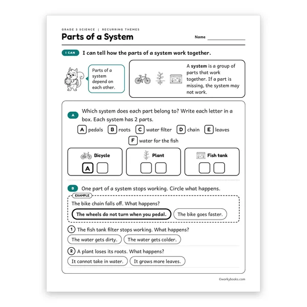 3rd Grade Parts of a System worksheet for grade 3