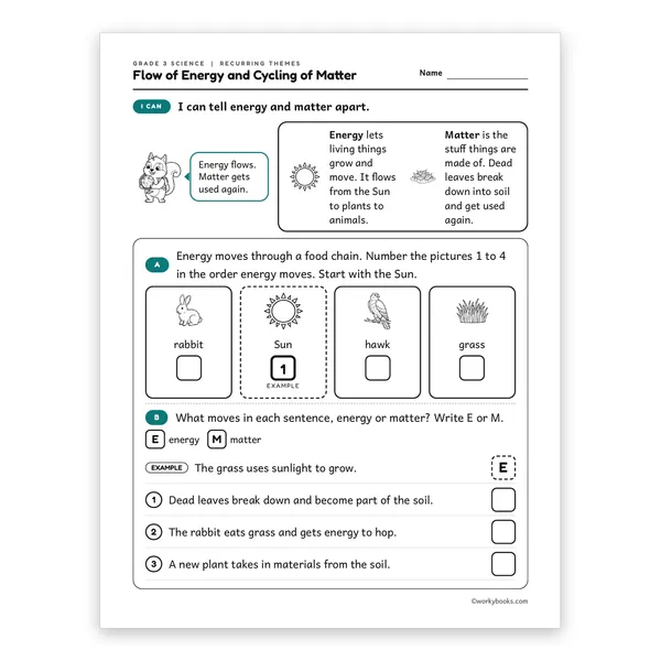 3rd Grade Flow of Energy and Cycling of Matter worksheet for grade 3