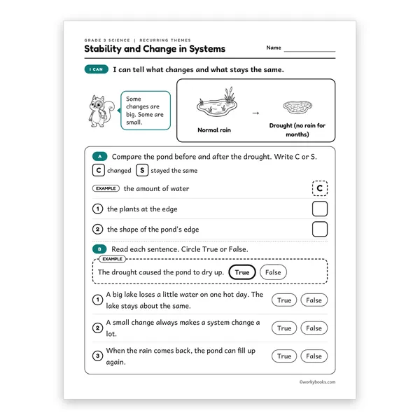 3rd Grade Stability and Change in Systems worksheet for grade 3