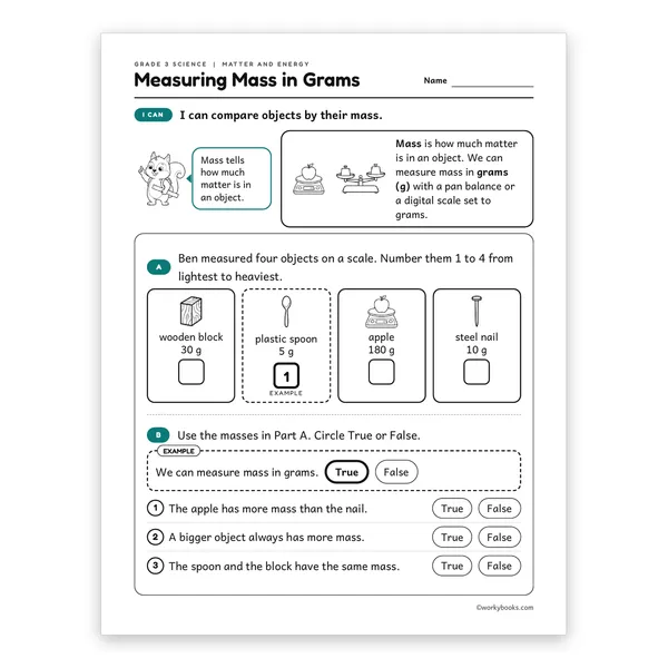 3rd Grade Measuring Mass in Grams worksheet for grade 3