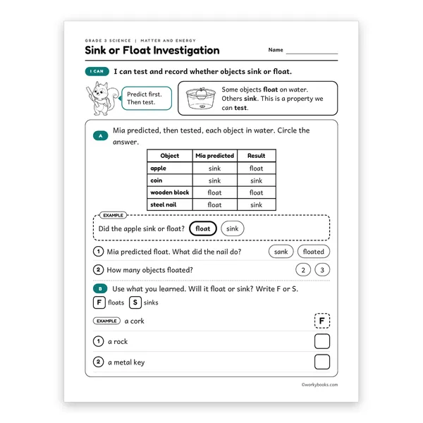3rd Grade Sink or Float Investigation worksheet for grade 3