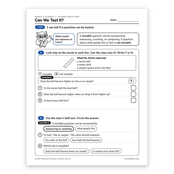 Can We Test It? worksheet for grade 4