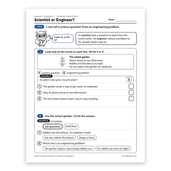 Scientist or Engineer? worksheet for grade 4