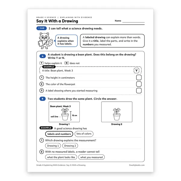 Say It With a Drawing worksheet for grade 4