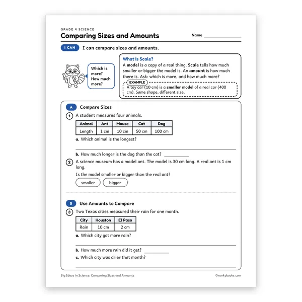 Comparing Sizes and Amounts worksheet for grade 4