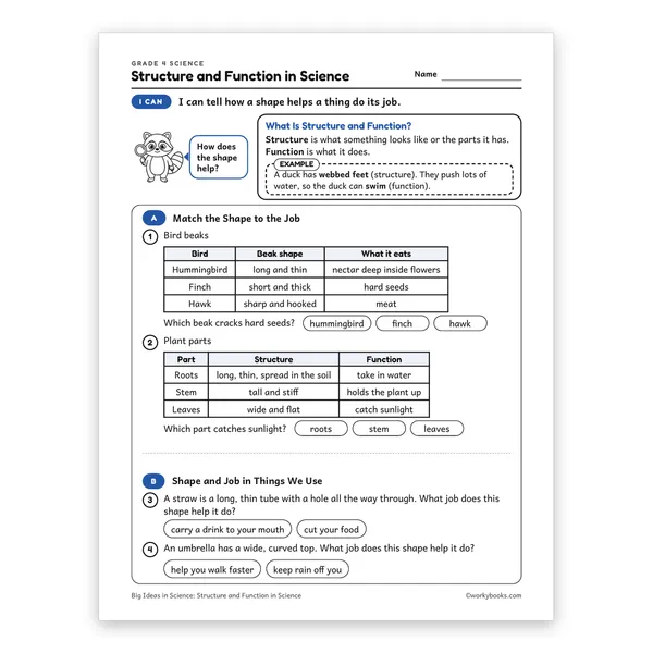 Structure and Function in Science worksheet for grade 4