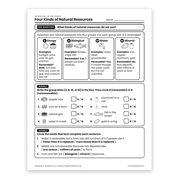 Four Kinds of Natural Resources worksheet for grade 6