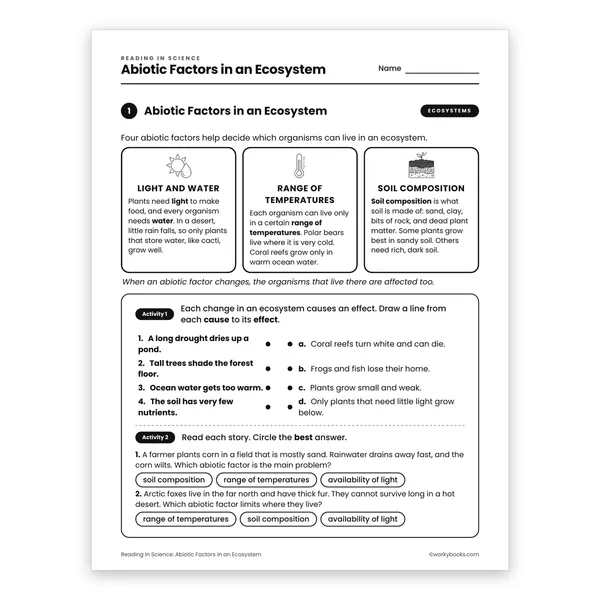 Abiotic Factors in an Ecosystem worksheet for grade 6