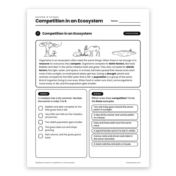 Competition in an Ecosystem worksheet for grade 6