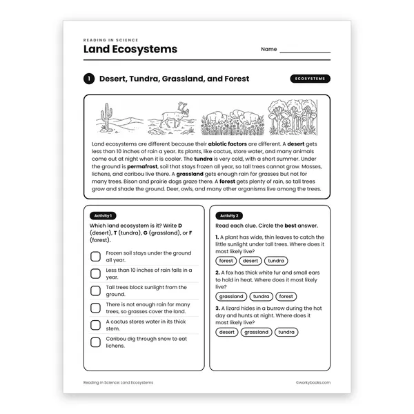Land Ecosystems worksheet for grade 6