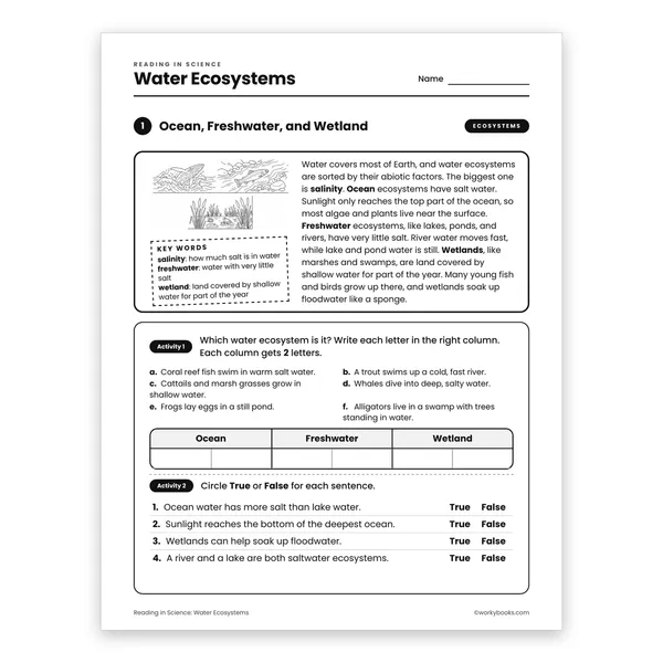 Water Ecosystems worksheet for grade 6