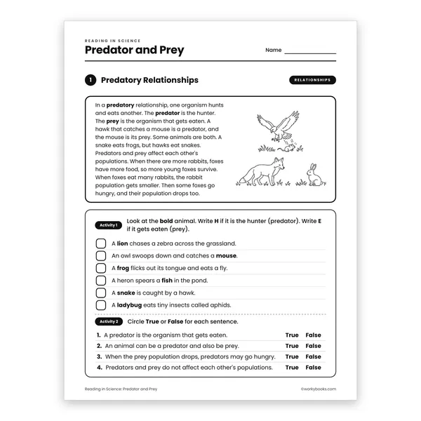 Predator and Prey worksheet for grade 6