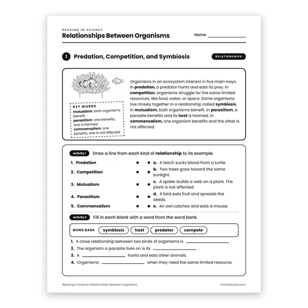Relationships Between Organisms worksheet for grade 6