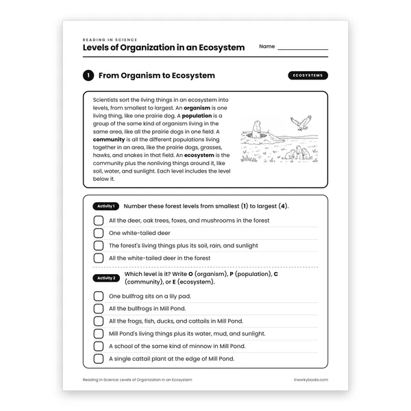Levels of Organization in an Ecosystem worksheet for grade 6