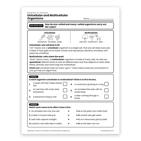Unicellular and Multicellular Organisms worksheet for grade 6