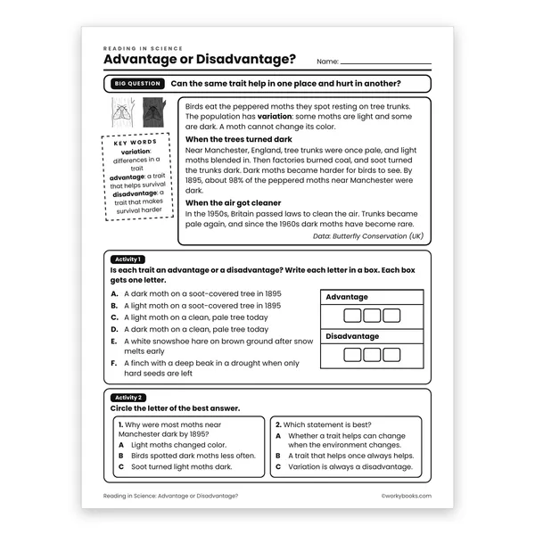 Advantage or Disadvantage? worksheet for grade 6