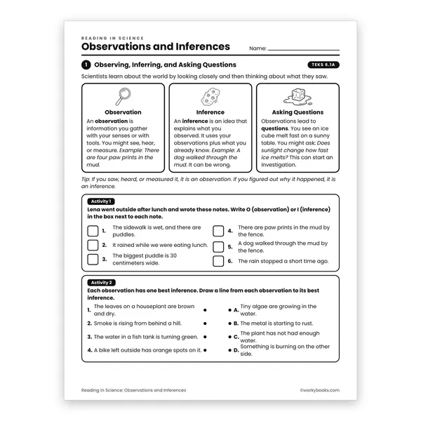 Observations and Inferences worksheet for grade 6