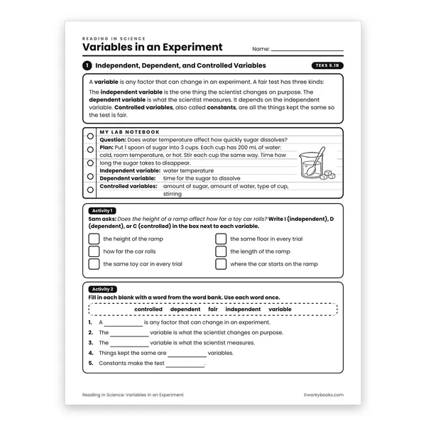 Variables in an Experiment worksheet for grade 6