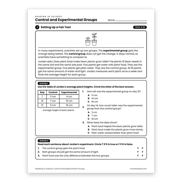Control and Experimental Groups worksheet for grade 6