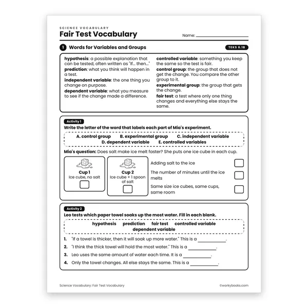 Fair Test Vocabulary worksheet for grade 6