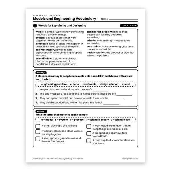 Models and Engineering Vocabulary worksheet for grade 6