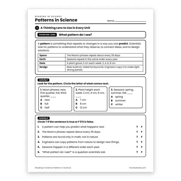 Patterns in Science worksheet for grade 6