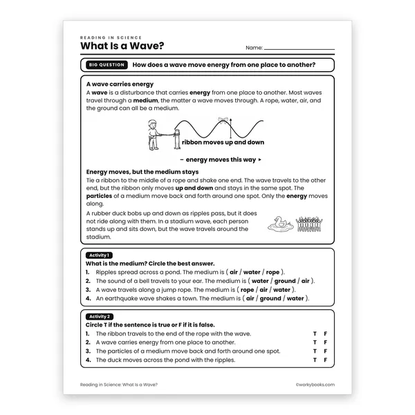 What Is a Wave? worksheet for grade 6