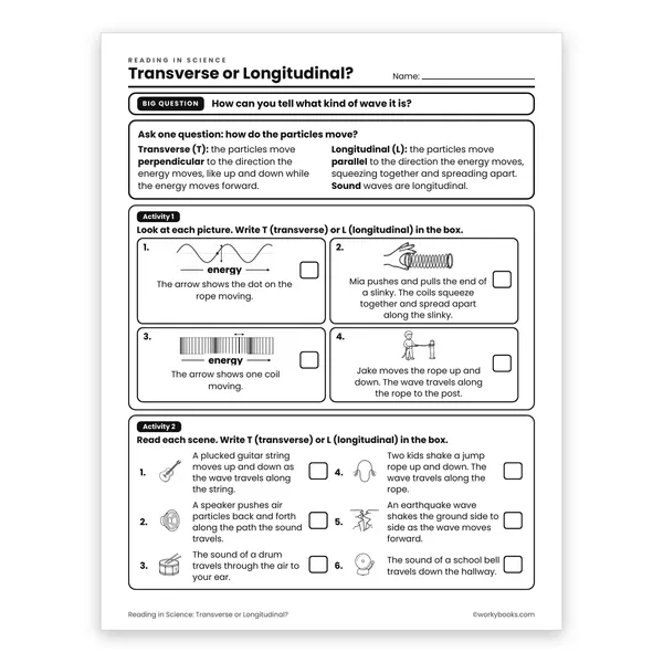 Transverse or Longitudinal? worksheet for grade 6