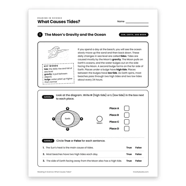 What Causes Tides? worksheet for grade 6