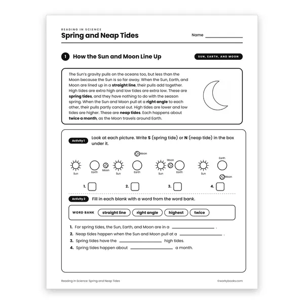 Spring and Neap Tides worksheet for grade 6