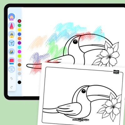 Toucan with a flower in beak - coloring educational content