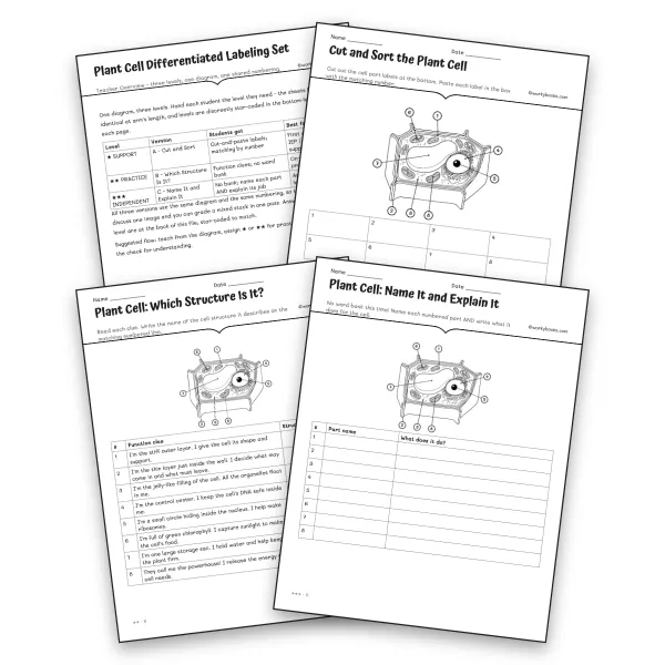 Plant Cell Differentiated Labeling Set - worksheet educational content