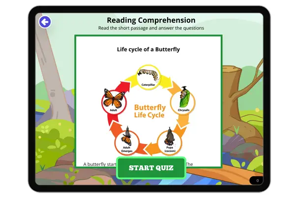 Life cycle of a Butterfly - reading educational content