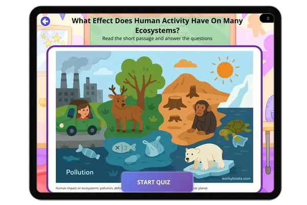 What Effect Does Human Activity Have On Many Ecosystems? - reading educational content