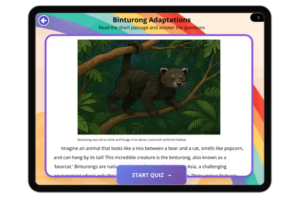 Binturong Adaptations - reading educational content