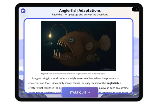 Anglerfish Adaptations - reading educational content