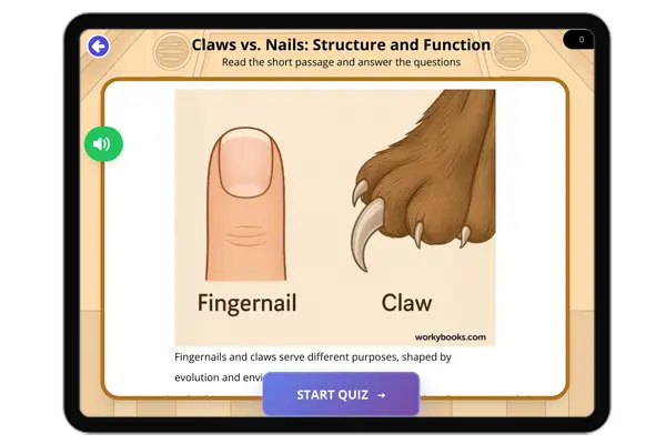 Claws vs. Nails: Structure and Function - reading educational content