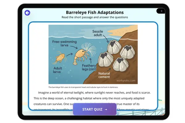 Barreleye Fish Adaptations - reading educational content