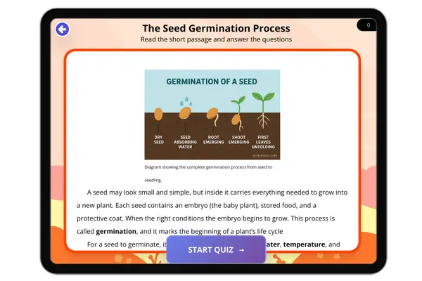 The Seed Germination Process - reading educational content