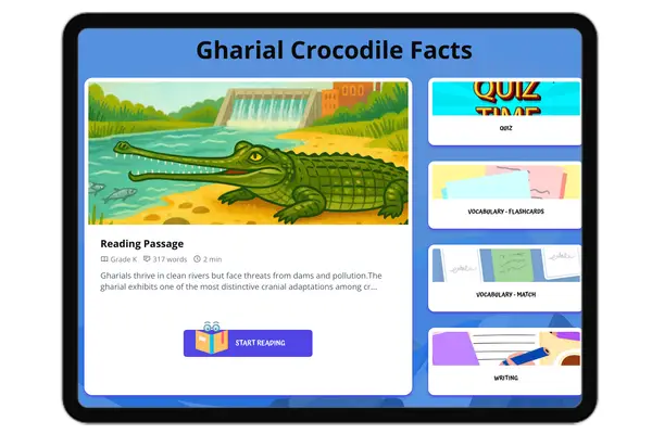 Gharial Crocodile Facts - reading educational content