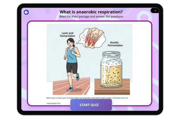 What is Anaerobic Respiration? - reading educational content