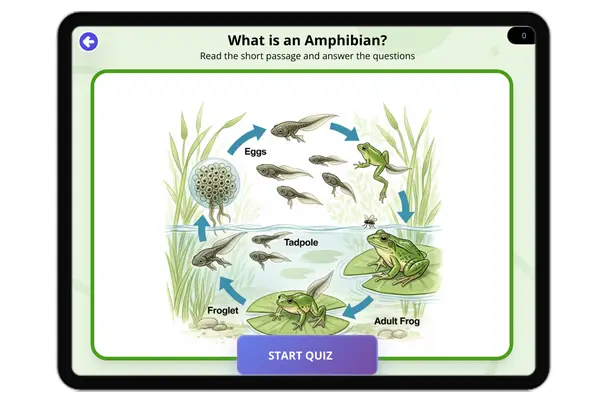 What is an amphibian - reading educational content